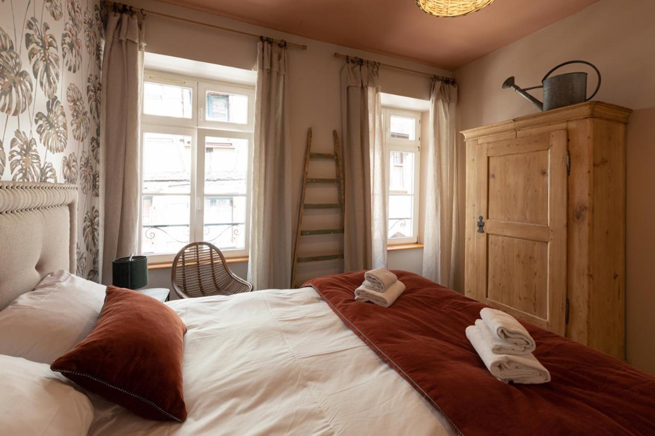 A Travers Champs Avec Sauna Et Parking Appartamento Colmar